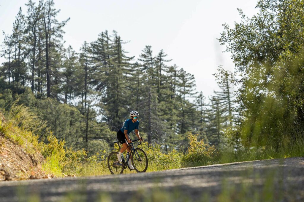 Langma Advanced Pro 0