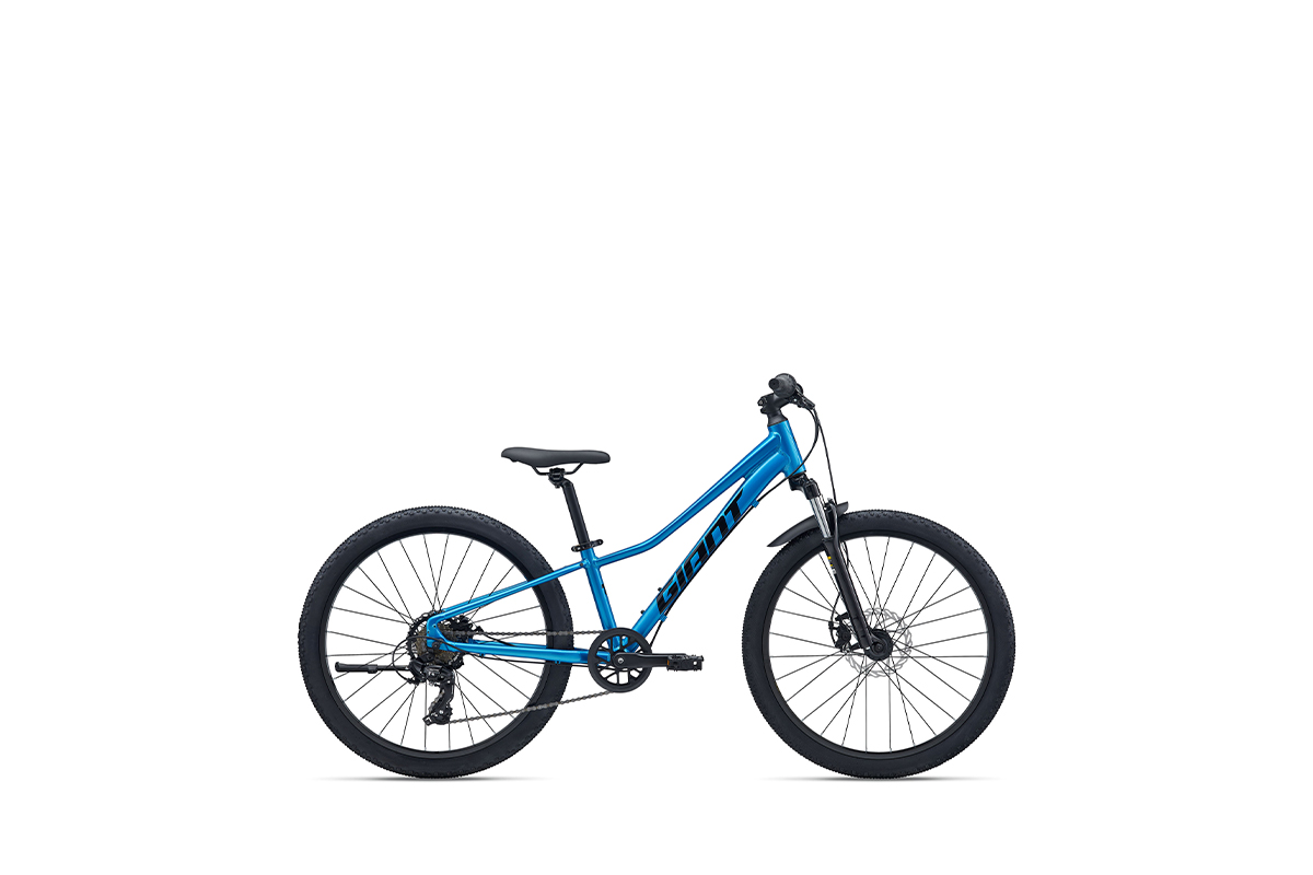Talon 24