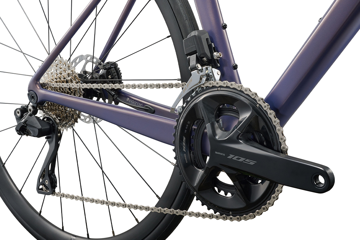 Langma Advanced 1 2026