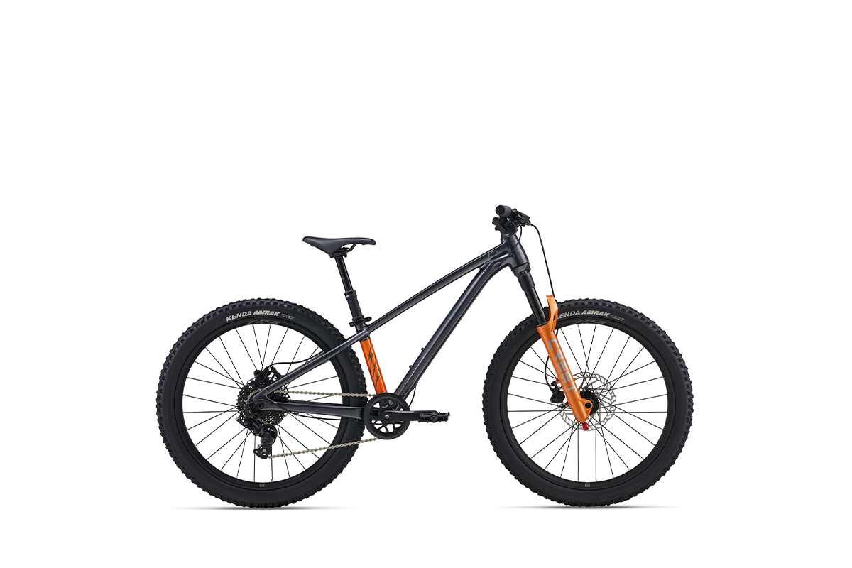 VTT GIANT STP 24 2026