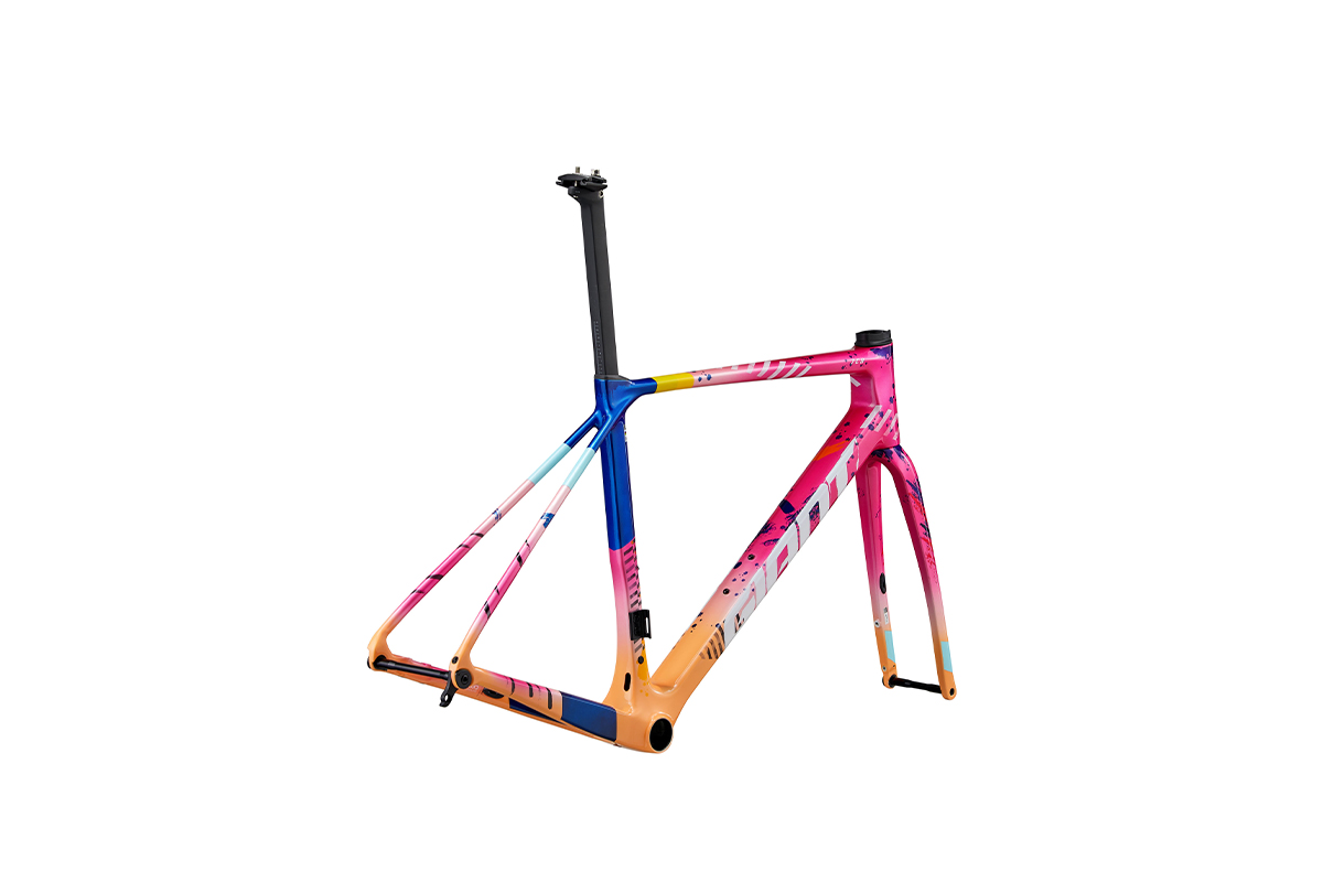 Kit Cadre Vélo Route TCR Advanced Pro