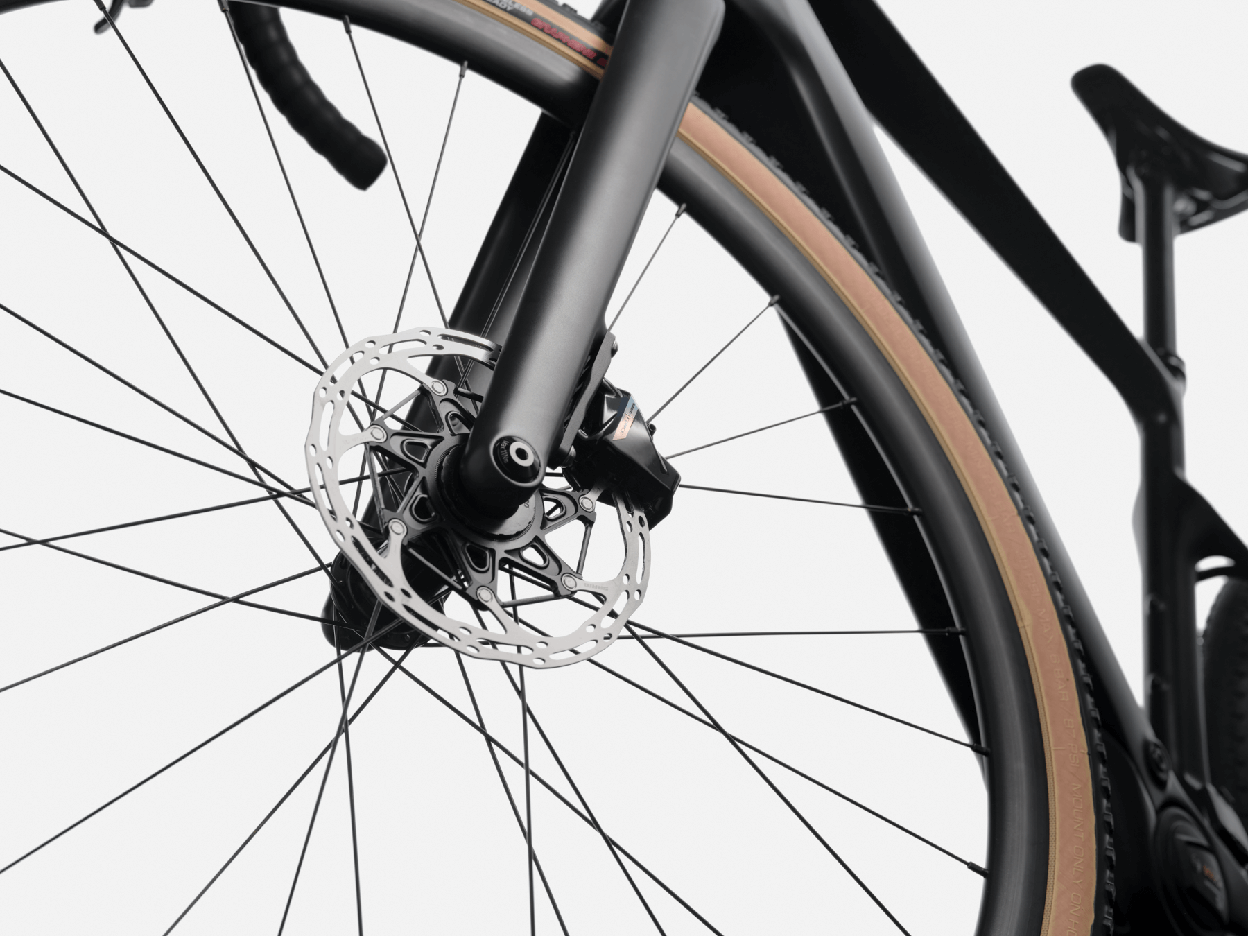 Synapse Neo Allroad 1
