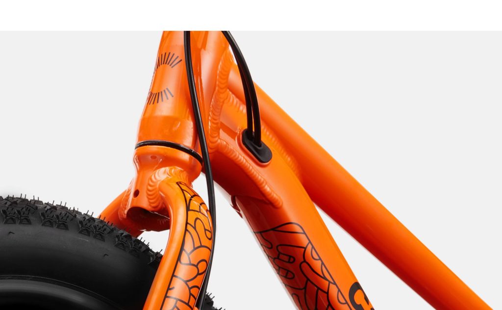 Vélo enfant Cannondale : Kids Trail Plus 20 disponible chez Ride & Co Toulouse