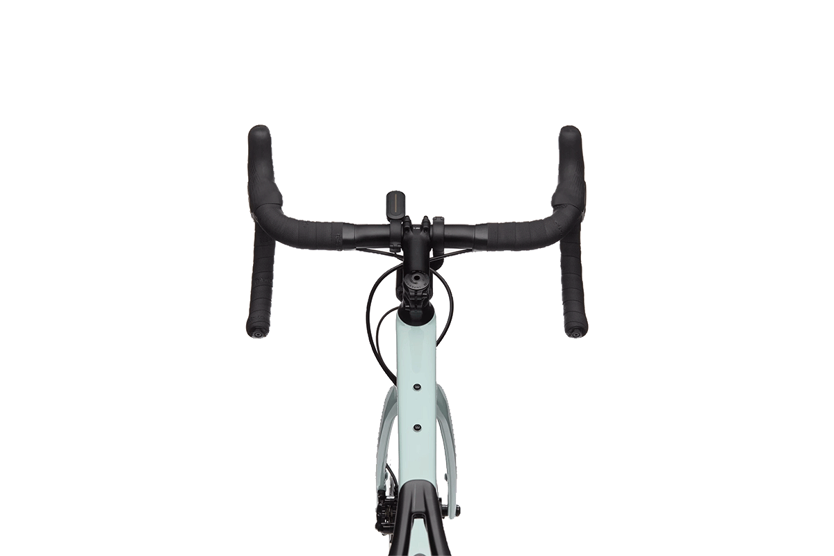Synapse Carbon 2 RLE